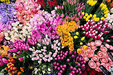 《时间旅者：重生曙光》33分钟实机 预购送《灵媒》