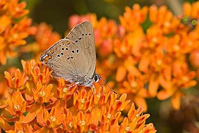 R星称《GTA6》的发售将拥有游戏史上最大规模